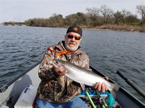 american river steelhead fishing report.